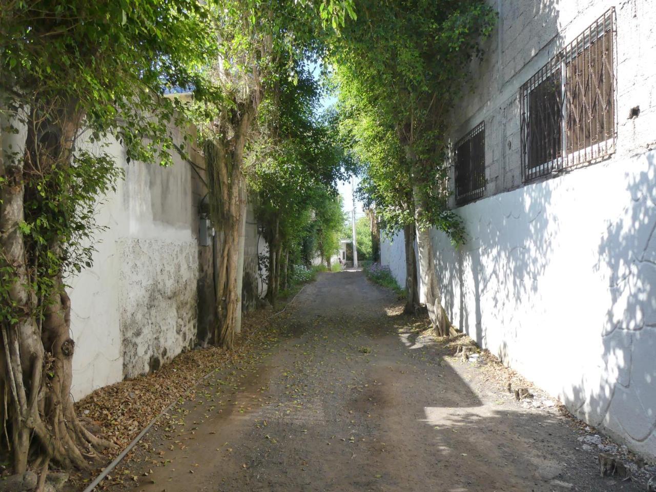 Hostal Estrella De Mar بويرتو أيورا المظهر الخارجي الصورة