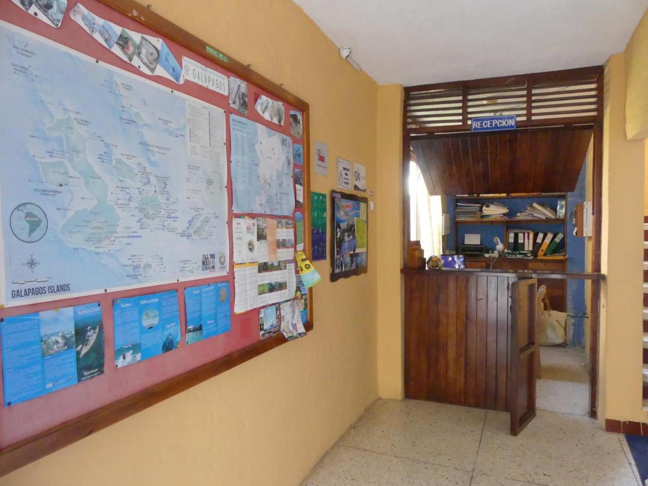 Hostal Estrella De Mar بويرتو أيورا المظهر الخارجي الصورة